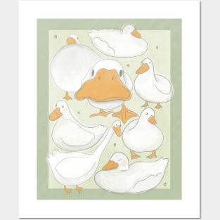 White Pekin Posters and Art